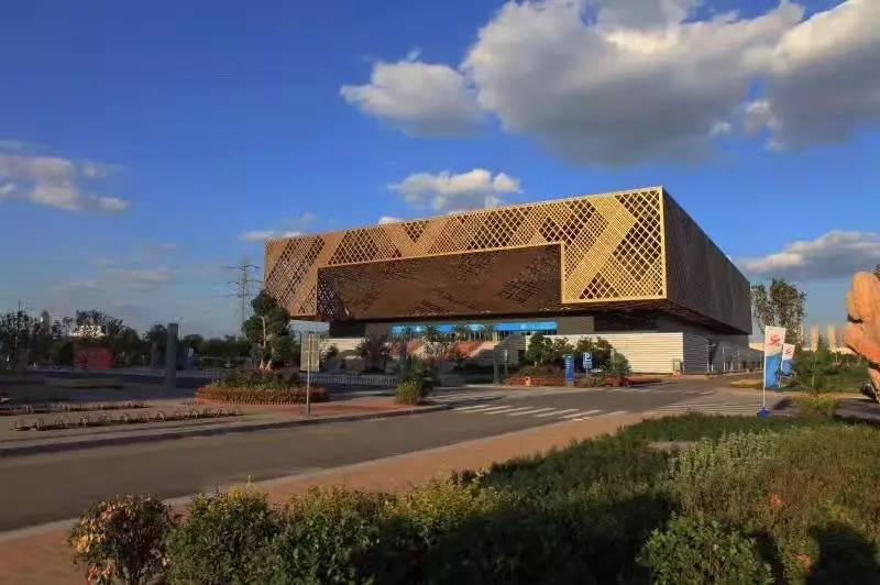 �����w���^