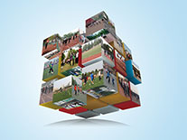 ���y(t��ng)�w���(xi��ng)Ŀ